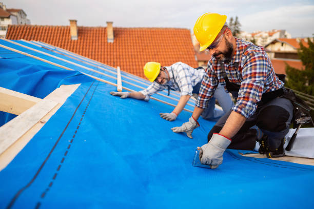 Best Roof Leak Repair  in Wooster, AR